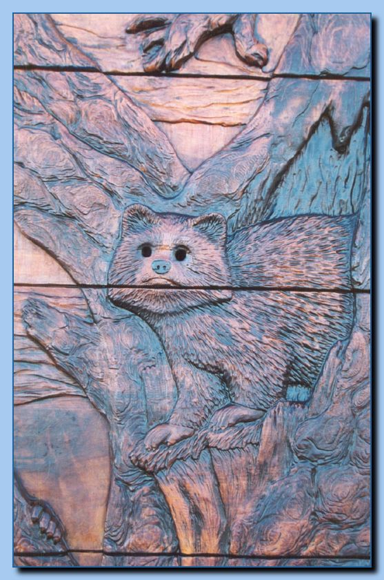 2-11 raccoon in carved door-archive-0001